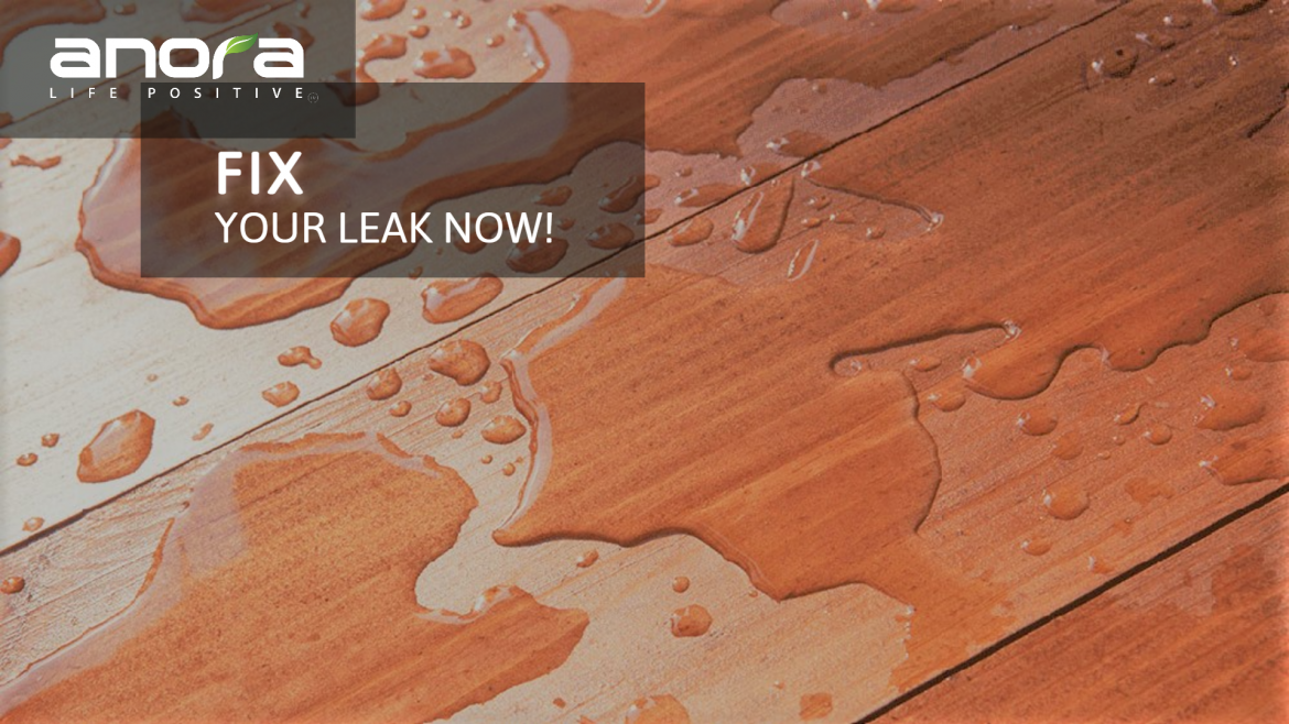 Fix Your Leak Now!